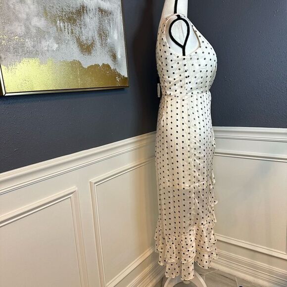 Nasty Gal Spotty Plunge Ruffle Front Maxi Tea Dress - Picture 8 of 12